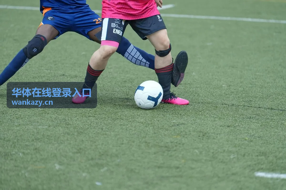 手机端华体在线登录入口的扫码与短信校验注意事项